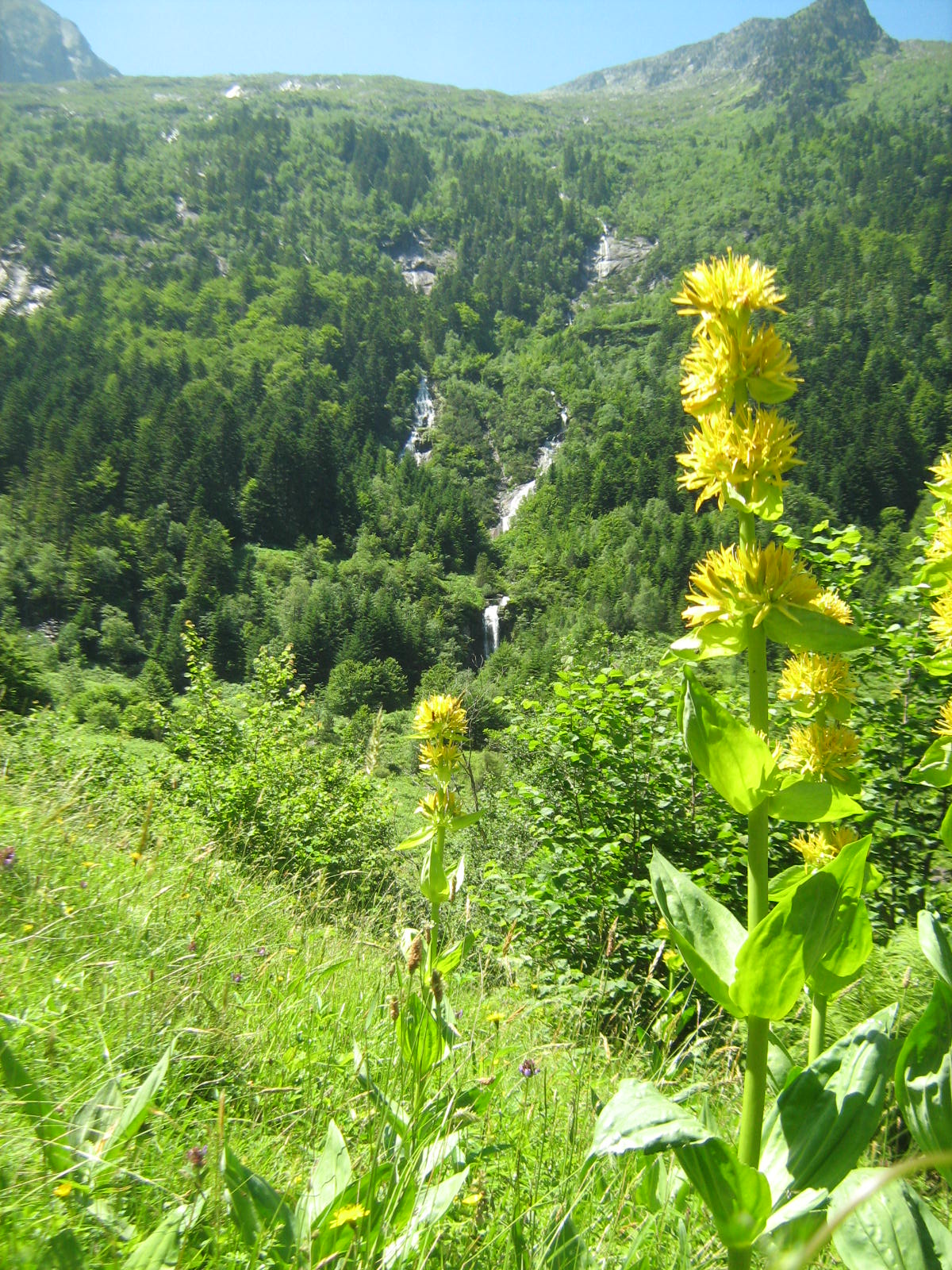 cirque-de-cagateille Le cirque de Cagateille