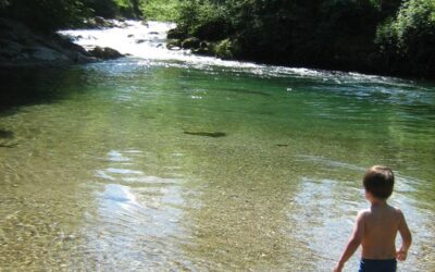 Où se baigner dans le Couserans ? Rivières, cascades et coins fraîcheur à découvrir cet été